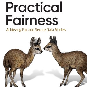 Practical Fairness Achieving Fair and Secure Data Models